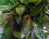 ચટણી(Chutney Recipe in Gujarati) રેસીપી સ્ટેપ1ફોટો