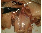 Foto del paso 8 de la receta: Deshuesar un pollo