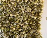 મગ નું ખીચું (Moong Khichu Recipe In Gujarati) રેસીપી સ્ટેપ1ફોટો