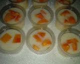 Foto langkah ke 7 dari resep Puding Susu Pepaya.