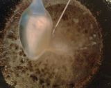 Foto langkah ke 6 dari resep Sate Telur-Bihun Gulung.