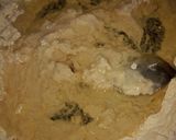 Foto del paso 2 de la receta: Pan casero
