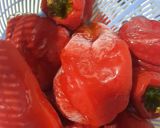 عکس مرحله 3 از دستور آش دوغ ارومیه (انزل)