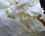 Foto del paso 3 de la receta: Repollo blanco en escabeche