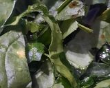 Foto del paso 6 de la receta: Espinacas: corte chiffonade
