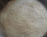 A picture of step 12 of Chicken Spring Rolls.