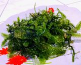 Foto langkah ke 1 dari resep Urap Latoh (Anggur Laut).