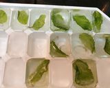 A picture of step 5 of Apple Grape Virgin Mojito.