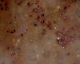 A picture of step 2 of Udad ki daal.