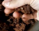 A picture of step 12 of Double Chocolate Cookies.