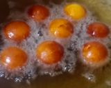 A picture of step 10 of Khoya gulab jamun.