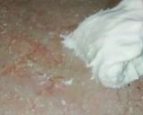 A picture of step 6 of Tandoori roti.