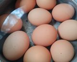 Foto del paso 1 de la receta: Huevos rellenos