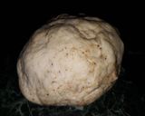Foto del paso 2 de la receta: Torta Fritas con Chicharrón Rápidas