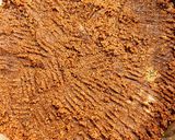 Une image de l'étape 1 de Gâteau chocolat spéculoos.