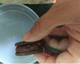 A picture of step 3 of Oreo dates fusion bites.
