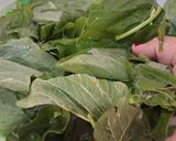 Foto langkah ke 2 dari resep Sayur Bening.
