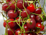 Η βυσσινάδα της Αγγελικής 🍒 (και μαρμελάδα βύσσινο)