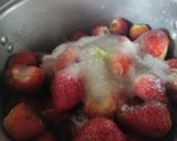 Foto del paso 2 de la receta: Dulce🍰 casero de fresas🍓 ó frutillas🍯🍓🍰