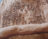 Foto del paso 4 de la receta: Pan integral con semillas 🍞