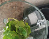Foto del paso 2 de la receta: Jugo verde