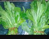 A picture of step 2 of Palak Paneer.