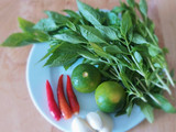 Gỏi RAU MUỐNG
