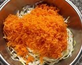Foto del paso 1 de la receta: Ensalada repollo y zanahoria Coleslaw