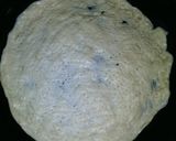 Foto langkah ke 4 dari resep Pizza homade Ala Moms El.
