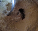 Foto del paso 2 de la receta: Pan de campo