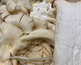Hình bước làm 1 của món Nui Xào Cà Chua Chay
