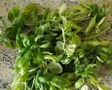 Foto del paso 2 de la receta: Spaghetti integrales al pesto con bacón ahumado