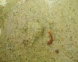 Achari chutney recipe step 3 photo