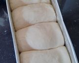 Foto langkah ke 6 dari resep Sourdough Shokupan.