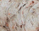Foto langkah ke 3 dari resep Carrot Cake.