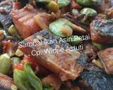 Cara Membuat Sambal Ikan Asin Petai 2