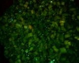 Foto del paso 4 de la receta: Tortilla de huevo con nopal