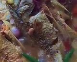 Gambar langkah 5 resipi Ikan Gerut Masak Tauhu & Cuka 🐟✨.