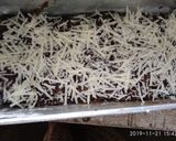 Foto langkah ke 7 dari resep Cake jamur tiram no mikser,no Bp,no SK.