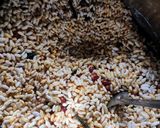 A picture of step 3 of Murmure bhadang(puffed murmure chiwda).