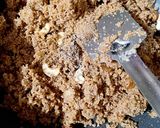 A picture of step 4 of Coconut rawa laddoo.