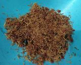 Foto langkah ke 6 dari resep Kentang mustofa kriuk pedas manis.