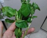 Foto del paso 4 de la receta: Te sientes inflamado? Prueba este tecito