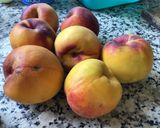 Foto del paso 1 de la receta: Mermelada de melocotón