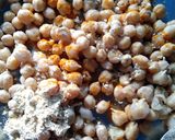 চটপটা অঙ্কুরিত ছোলে ফ্রাই (chatpata onkurito cholae fry recipe in Bengali) রেসিপি ধাপ - 3 ছবি