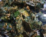 ચટપટા રસ પાત્રા (Chatpata Ras Patra Recipe In Gujarati) રેસીપી સ્ટેપ5ફોટો