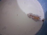 Panacotta