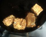 A picture of step 4 of Paneer veg Tikka masala.
