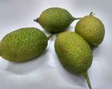 A picture of step 3 of Sri Lankan Forest Bittergourd Curry.