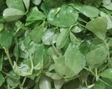 A picture of step 1 of Green Pea-Spinach Soup.